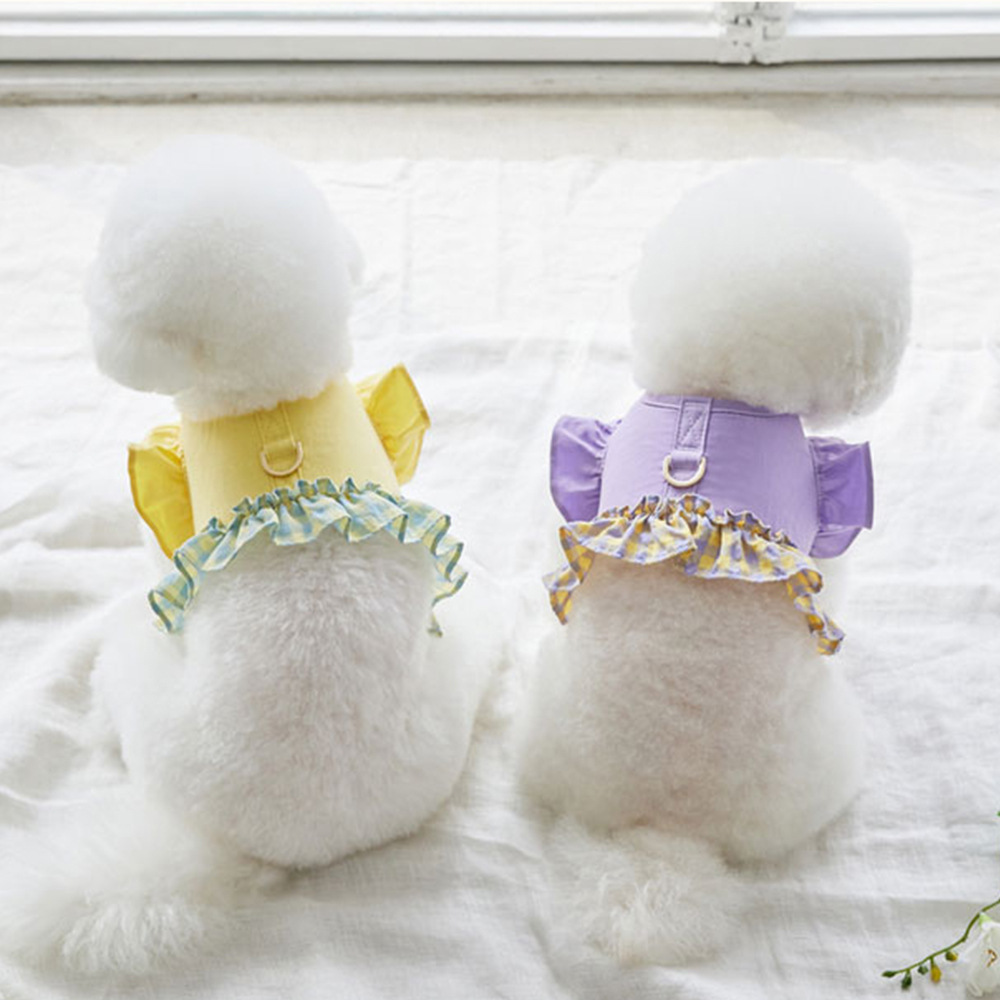 Lace Teddy Lingerie - Hundegeschirr mit Farbkontrast und Traktionsleine, Kurze