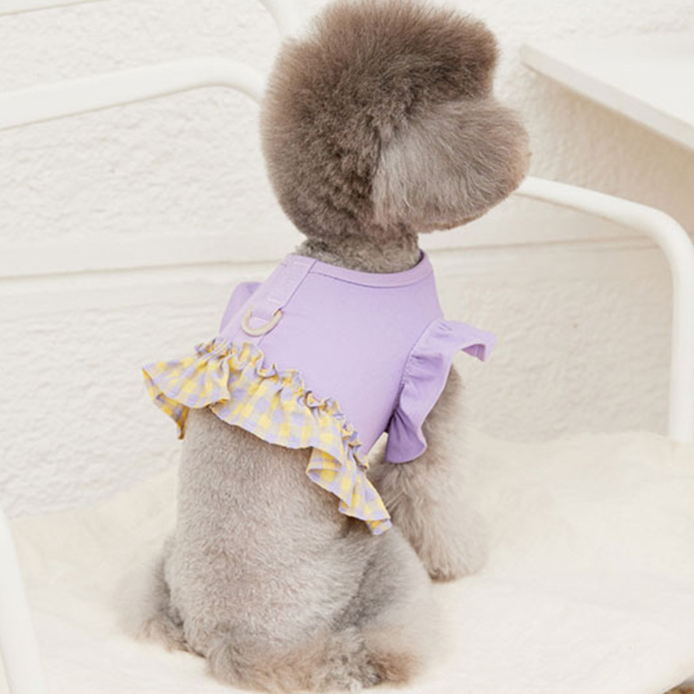 Hundegeschirr mit Farbkontrast – Lace Teddy Lingerie Bewertung und Preis