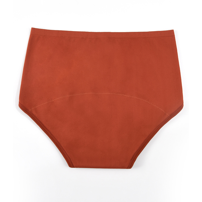 Nahtlose Periodenunterwäsche f – Period Panty Absorbent Bewertung und Preis