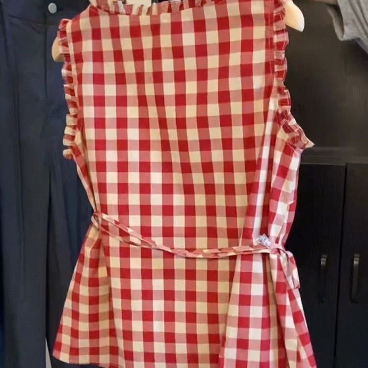 Retro Rote Karierte Ärmellose  – Corset Waist Cinch Bewertung und Preis