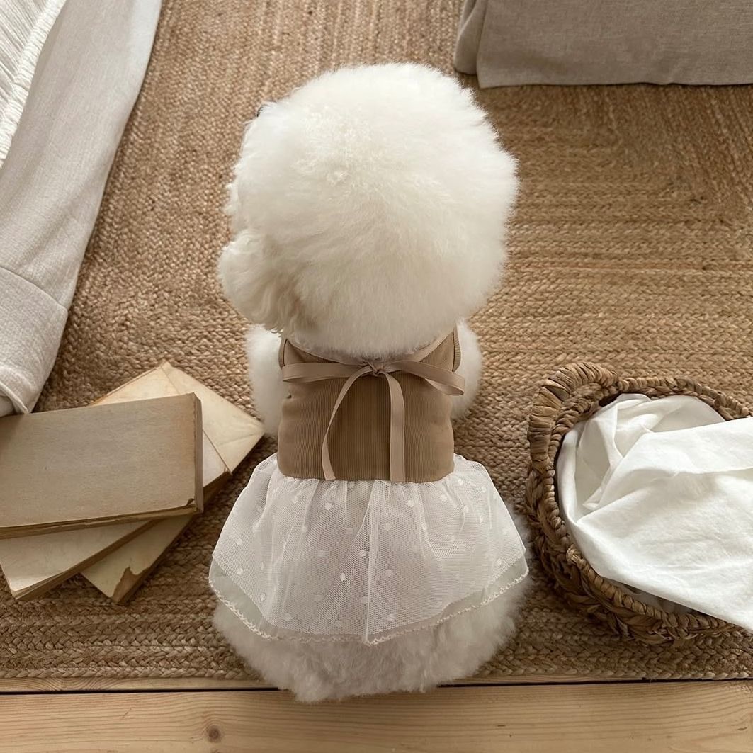 Frühlings- und Sommer-Haustier – Lace Teddy Lingerie Bewertung und Preis